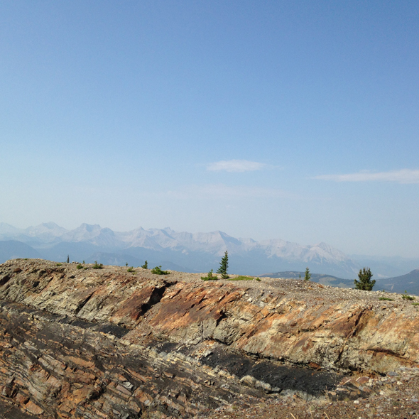 Grassy-Mountain—Squaare Image of a rock-cut with a tree-line below