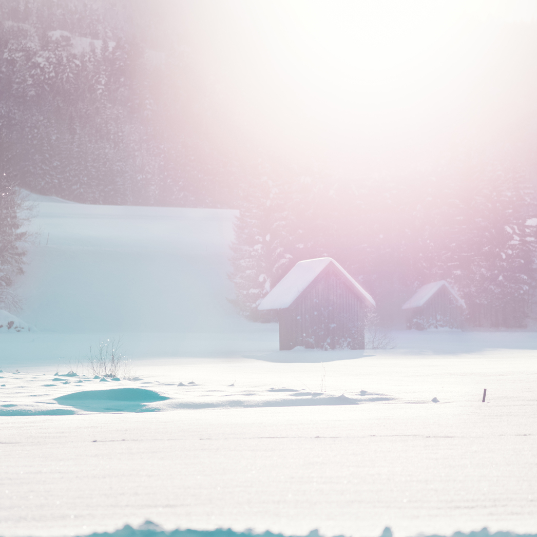 communitybased-square Image of an abandoned shack in the snow.